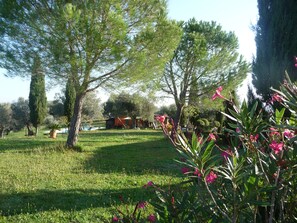 Parco della struttura