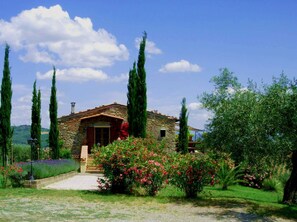 Exterior - Tuscan country house Le Chiuse with panoramic pool and air conditioning system (Caldana)