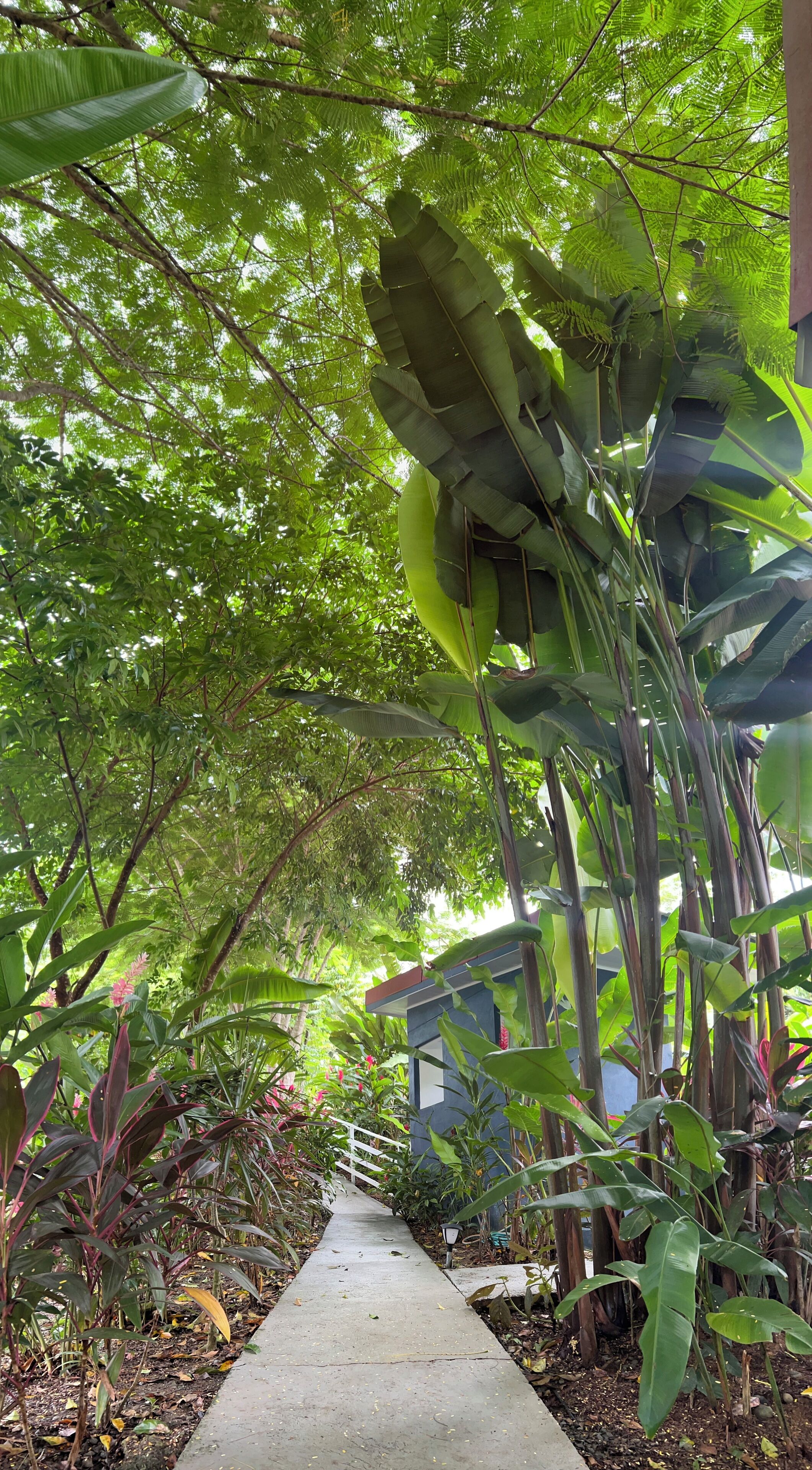 Parco della struttura