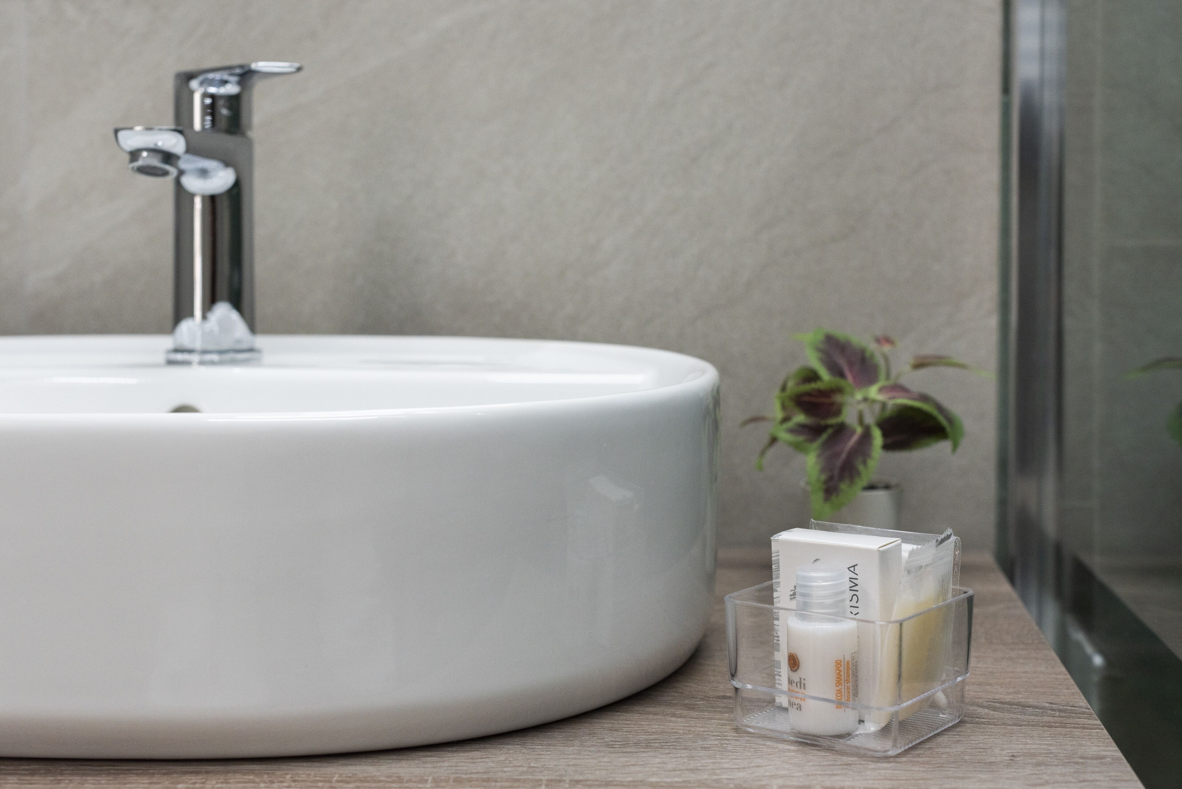 A bathroom with a white sink, a modern faucet, and a small potted plant.
