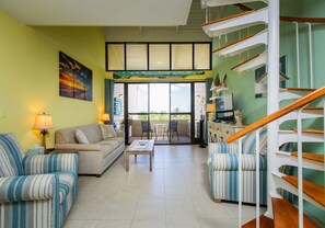 Smart TV, DVD player, books, computer monitors