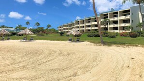 Een hotel met meerdere verdiepingen, een zandstrand met ligbedden en rieten parasols, en palmbomen.