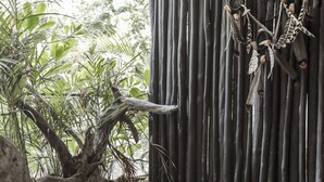 Deluxe Apartment | Garden view - Black House Aldea Zama (Tulum)