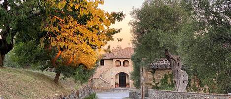 A stone pathway leading to a rustic building with an arched entrance, surrounded by trees and a stone wall.