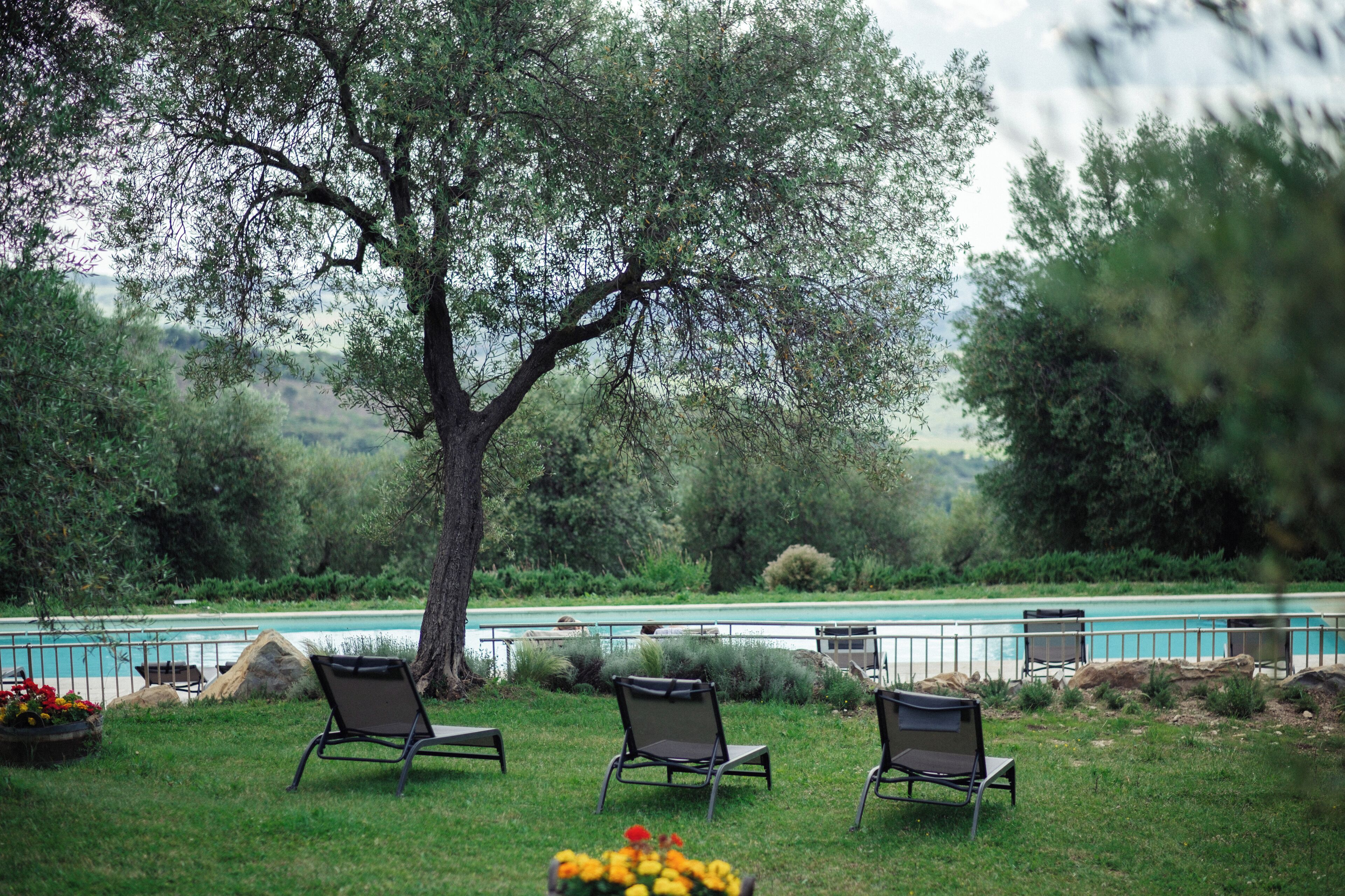 Ein Sitzbereich im Freien mit drei Stühlen, einem Tisch, einem Baum und Blick auf einen Swimmingpool.