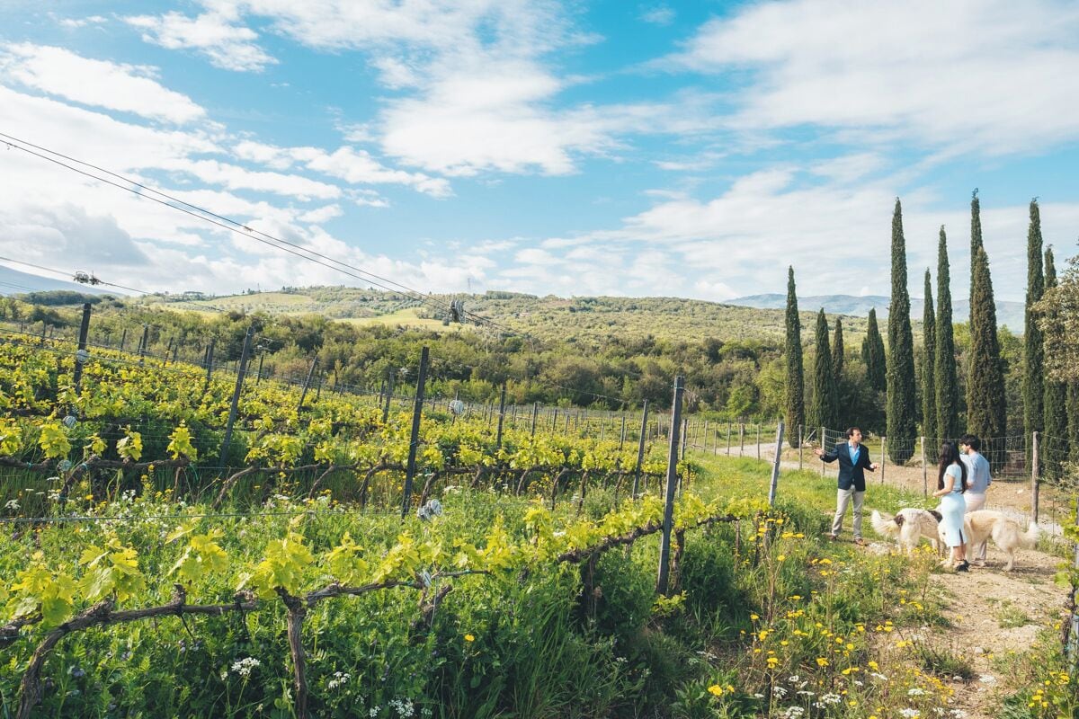 Un vignoble avec des rangées de vignes et quelques personnes qui se promènent au loin.