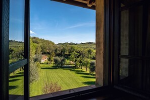 Suite exécutive, vue sur la colline | Vue de la chambre