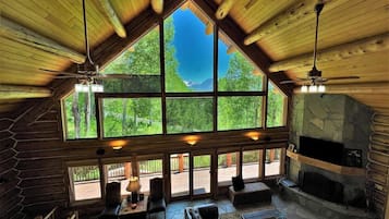 Télévision, cheminée, lecteur de DVD, livres