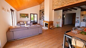 Un salon moderne avec un canapé gris, un plancher en bois et une cheminée.