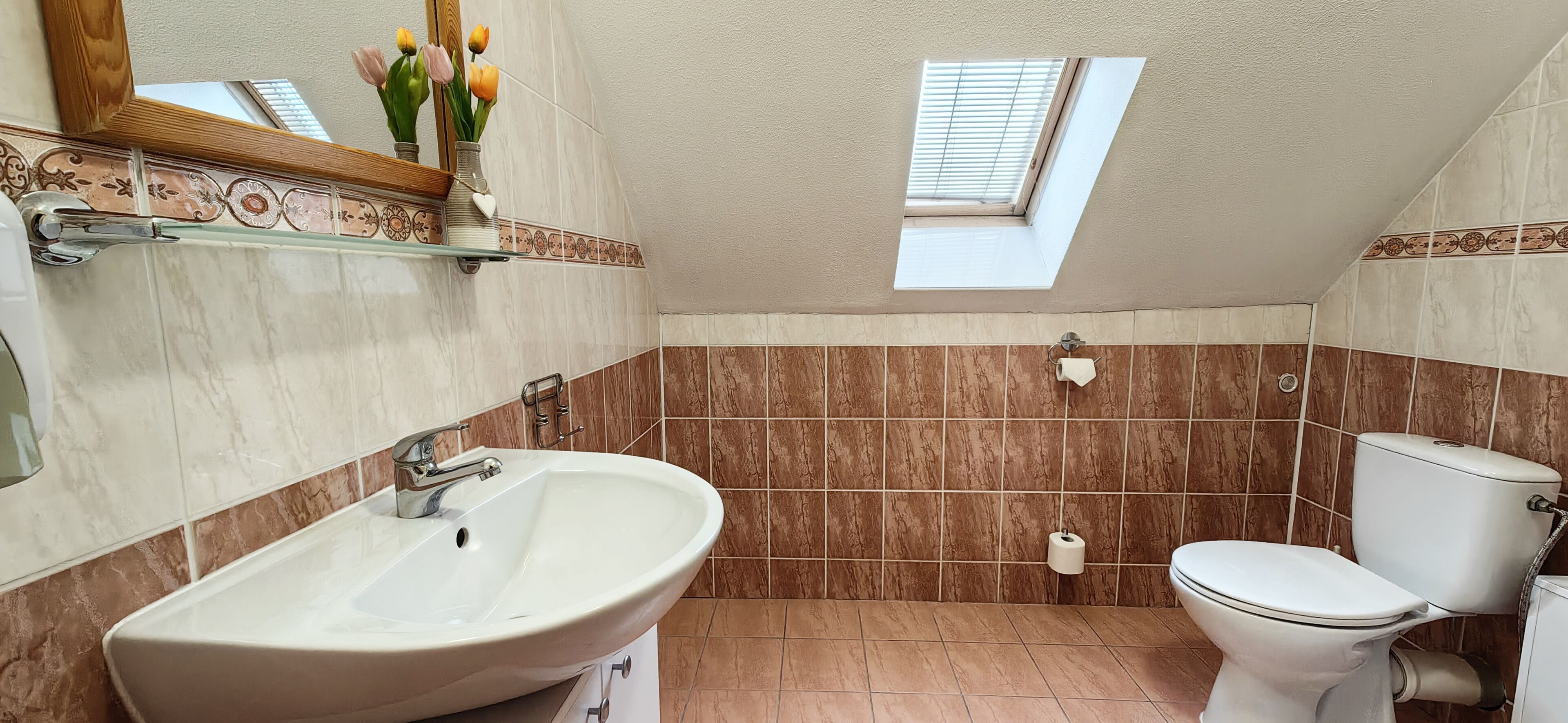 Une salle de bain avec un puits de lumière, un lavabo et des toilettes.