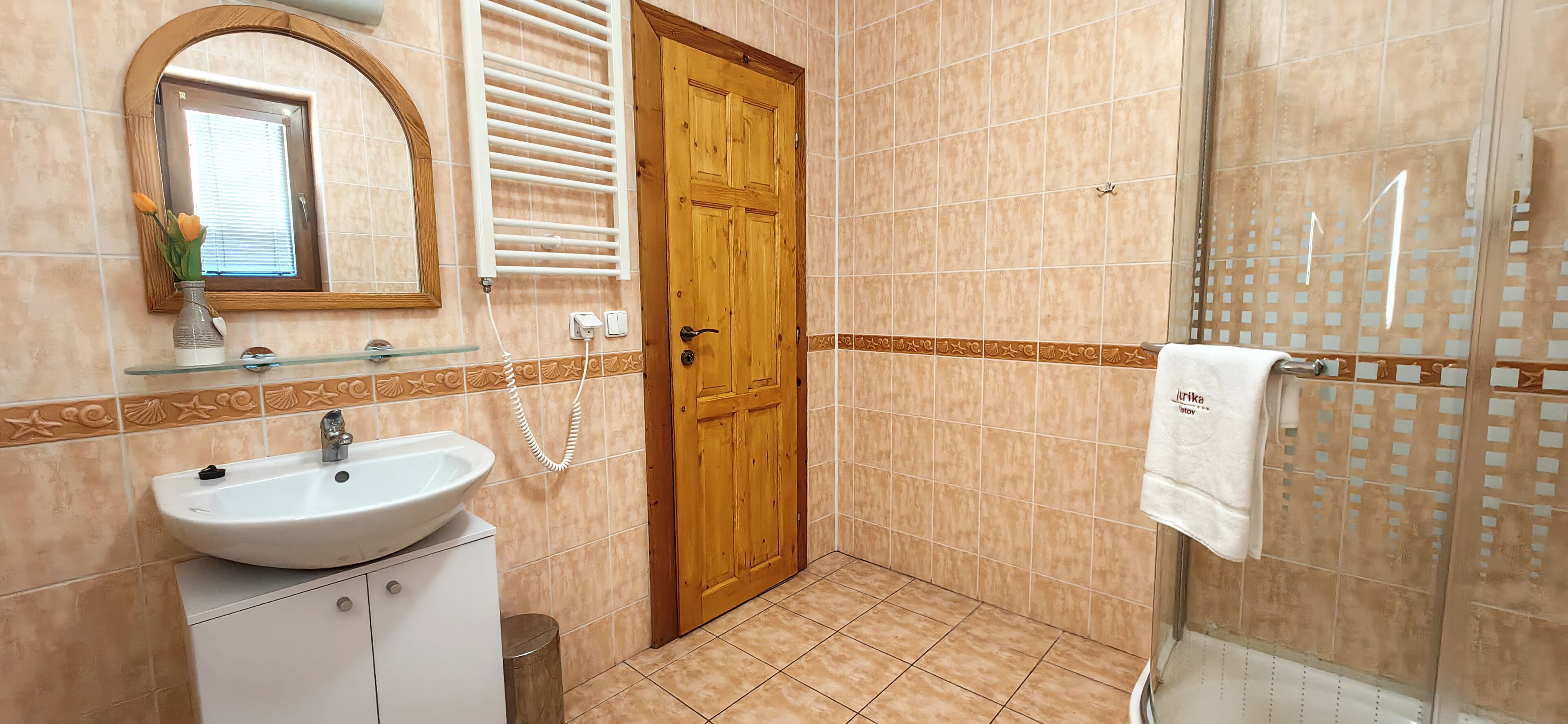 A bathroom with a sink, mirror, and shower.