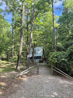 Zona boscosa con una cabaña identificada como 'Black Squirrel Cabin'.