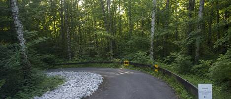 A winding road in a forested area with a sign indicating a marina and entertainment district.