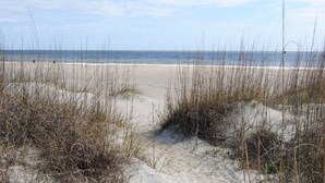 Une plage avec des dunes de sable et une végétation clairsemée.