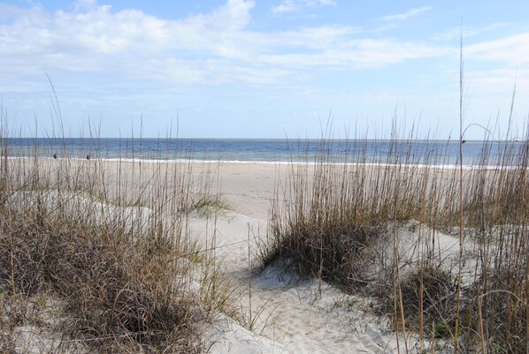 Ein Strand mit Dünen und vereinzelter Vegetation.