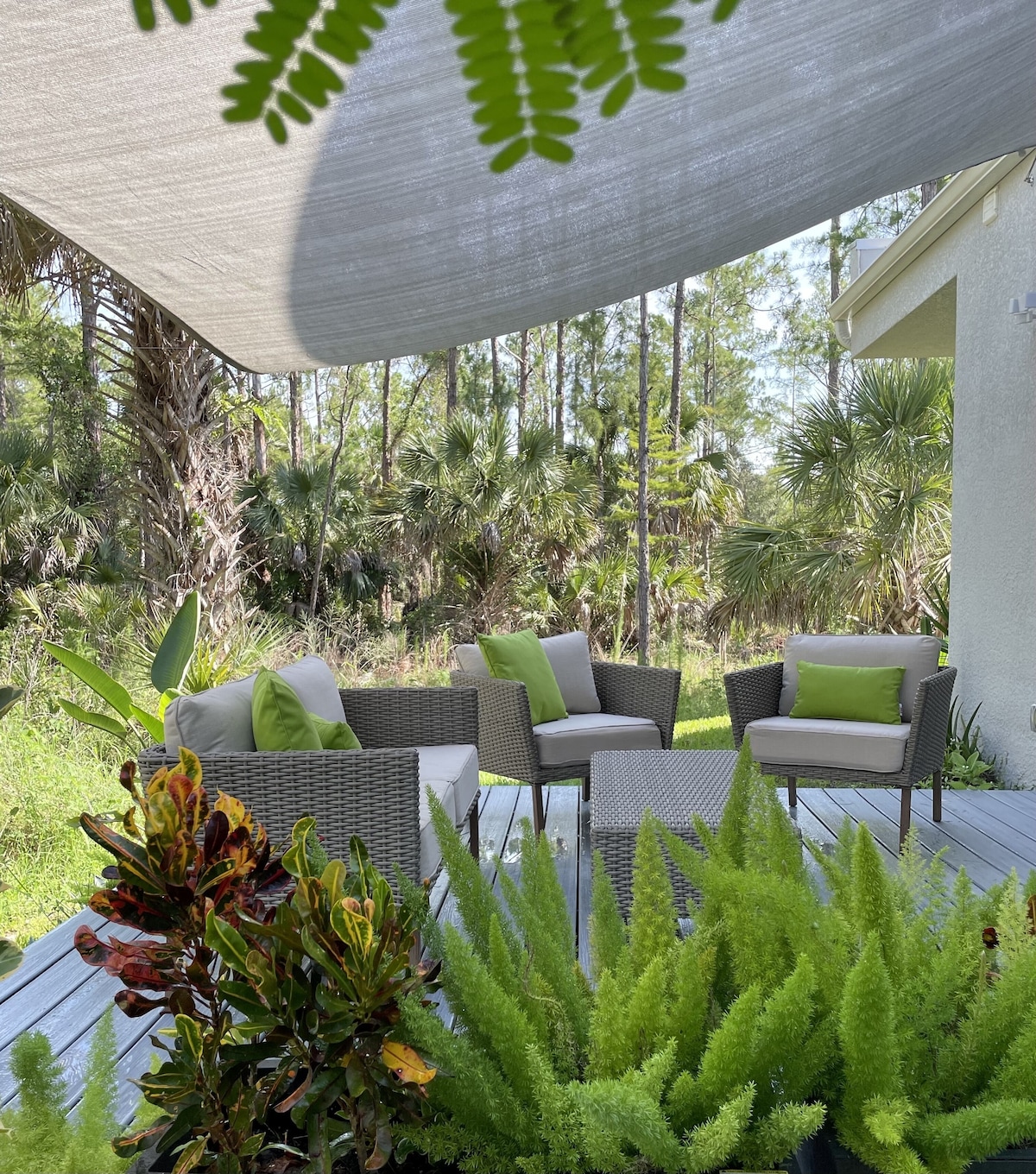 Photo 14 of Moninanu - Modern Wooded Cottage in North Naples