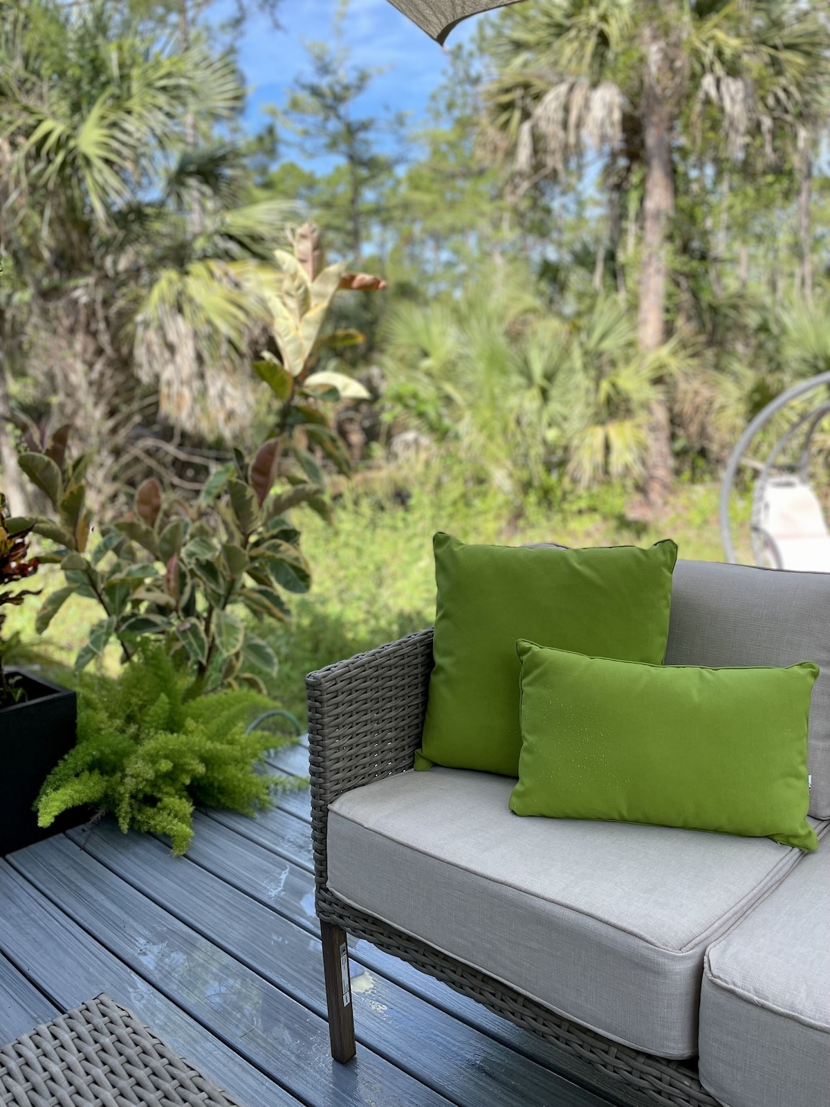 Photo 16 of Moninanu - Modern Wooded Cottage in North Naples