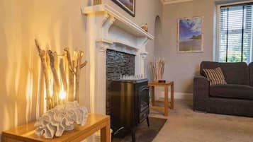 Smart TV, fireplace, DVD player, books