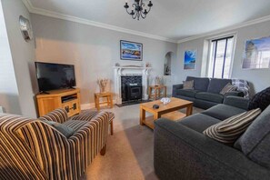 Smart TV, chimenea, reproductor de DVD y libros 