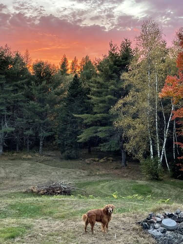 Secluded Luxury Escape Near Katahdin & Acadia