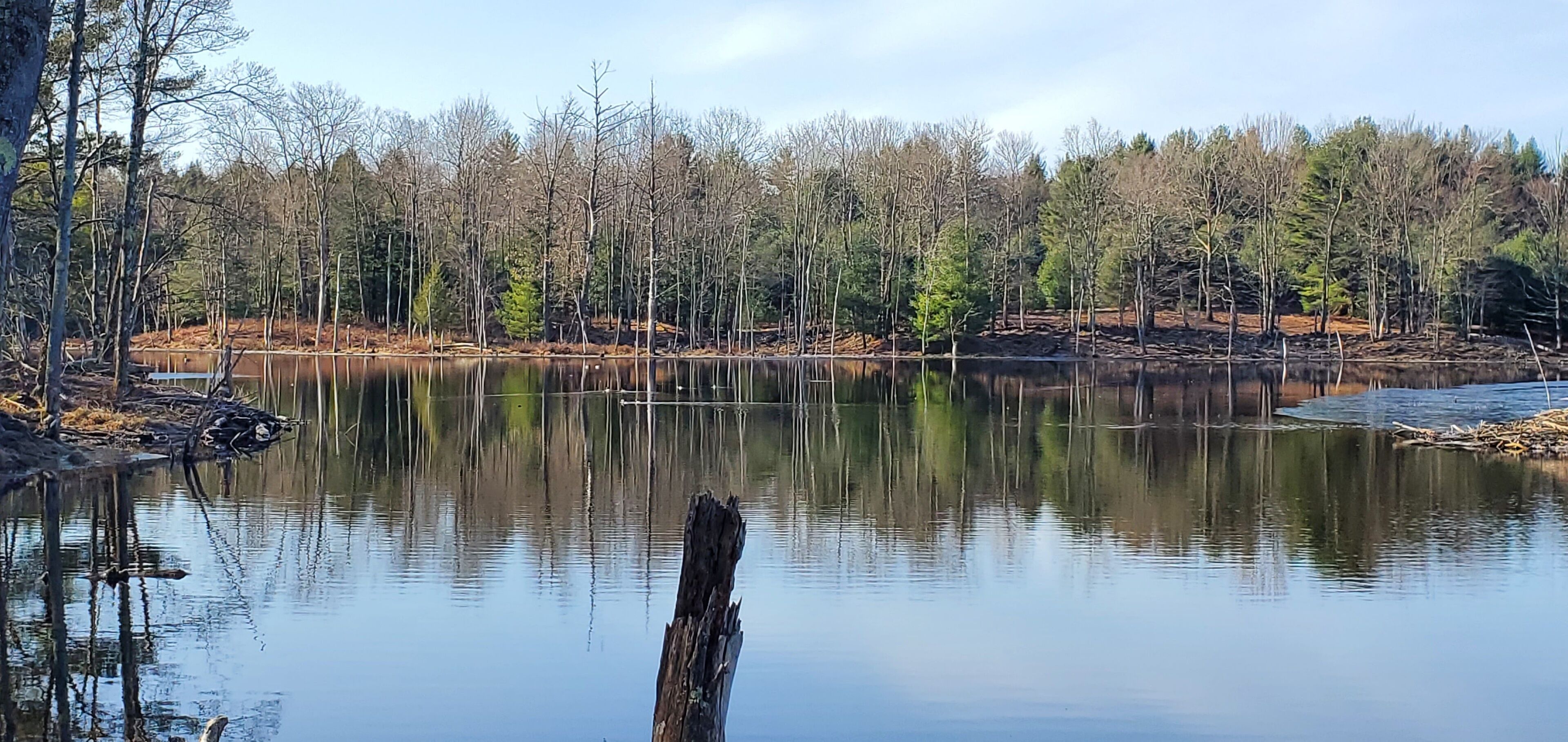 Un lac paisible, bordé d’arbres, avec une jetée en bois.