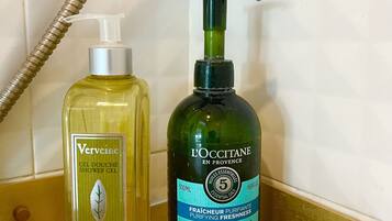 Douche, sèche-cheveux, serviettes fournies, savon