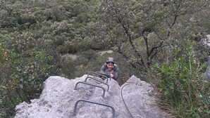 A person climbing a rocky path with metal handrails, surrounded by dense greenery.