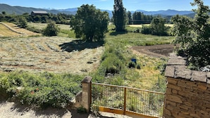 A rural landscape with fields, trees, and a stone wall.