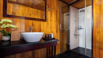 Shower, hydromassage showerhead, designer toiletries, hair dryer