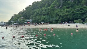 Een strand met zwemmers en mensen die zonnebaden, omgeven door weelderige begroeiing en een rotsachtige klif.