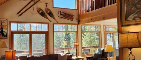 TV, fireplace, video games, DVD player