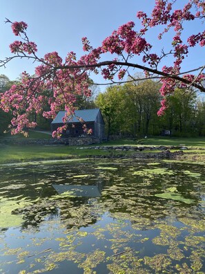 Property grounds - 1840's Whaling Captain's Farm Estate, 6-10 guests (Chester)