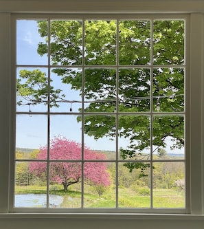 Interior - 1840's Whaling Captain's Farm Estate, 6-10 guests (Chester)