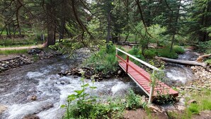 Un pont en bois rouge enjambant un ruisseau dans une zone boisée, avec des tables de pique-nique et un hamac.