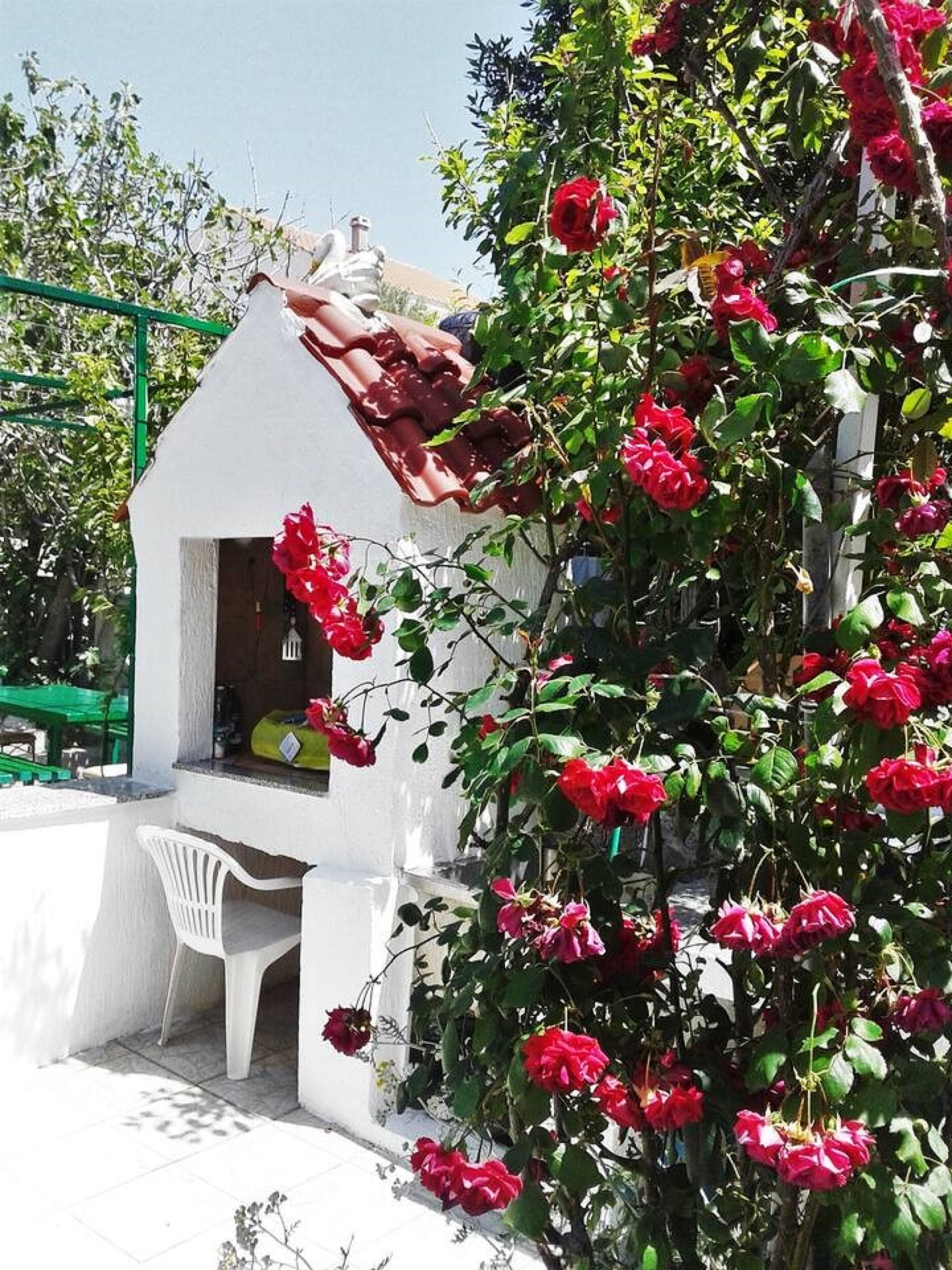 A white building with a sloped roof, a small patio area with a white chair, and a rose bush with red flowers.
