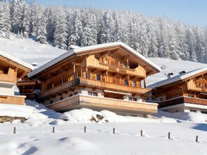 Exterior - Large holiday flat, only 3.5km to the ski lift (Alpbach)