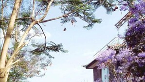 Un edificio de estilo arquitectónico tradicional, rodeado de árboles y plantas con flores púrpuras.