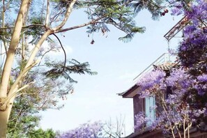 Un edificio tradicional con techo inclinado y un árbol con flores moradas al frente.