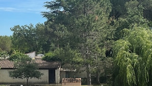 Piscina com deck revestido, cercada por árvores e gramado.