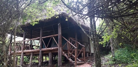 Exterior. Jungle lodge Kibale