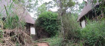 Jungle lodge Kibale