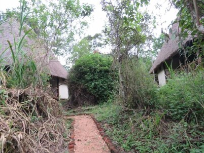 Jungle lodge Kibale