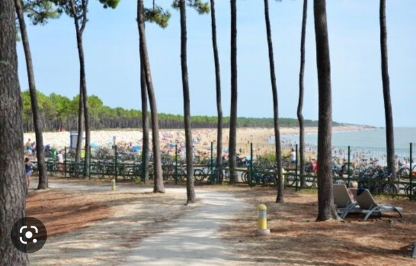 Stroll along the beachside path lined with trees and enjoy the scenic views.