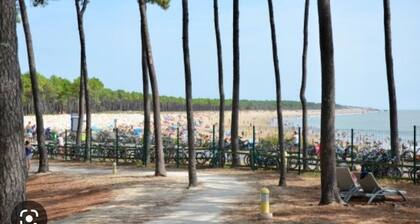 Les Mathes ,Mobil home 741 , les charmettes