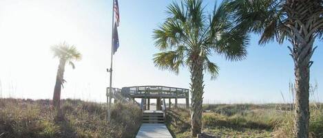 A wooden boardwalk leading to a covered structure with an American flag, surrounded by palm trees.