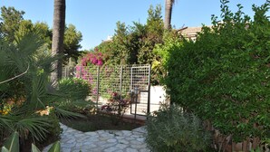A garden with a stone pathway, a metal fence, and various plants and trees.