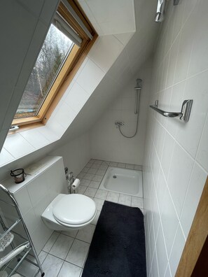 A small, modern bathroom with a toilet, sink, and shower. - Vacation apartment for 4 people 38 m² with a view of the Lilienstein (Königstein)
