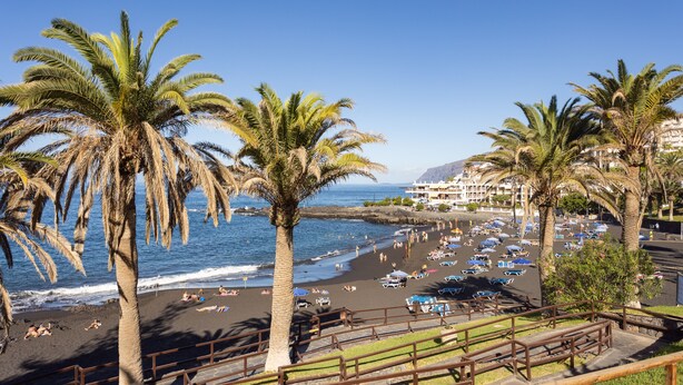 Una spiaggia con palme, una costa sabbiosa e vista su una zona turistica con edifici e auto parcheggiate.