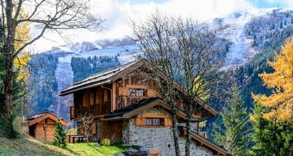 Gorgeous, truly ski-in ski-out chalet with hot tub, sauna, fabulous views