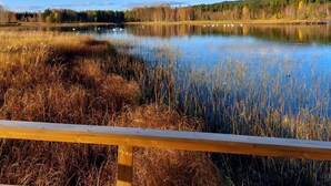 A calm lake with reeds in the foreground, a wooden fence, and a forested hill in the background. - Swedish-style guest house in the beautiful nature and tranquillity of central Sweden. (Stöde)